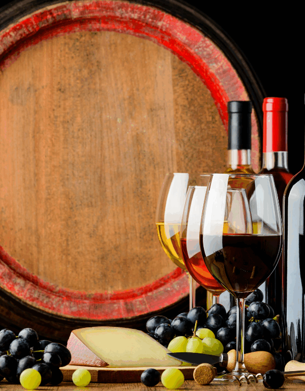 Bodega Divina Proporción Toro. Viaje desde Salamanca y desde Zamora. Enoturismo. Viaje para profesores